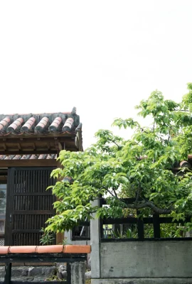 (Graphis) Gals – Suzu Harumiya 春宮すず Spring Breeze