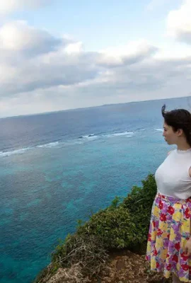 Take you to see the wind and waves flying like the seagulls