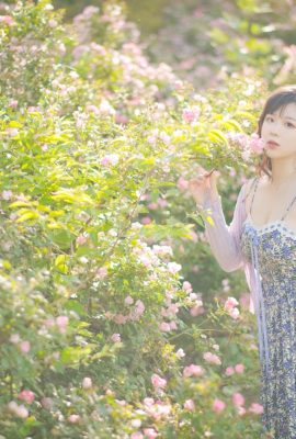 (Cosplay) Pipi Nai is so cute, Rose Flower