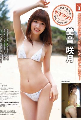 Fresh gravure DVD collection_Mogitate