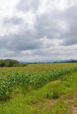 Minami Kojima Can you e here!