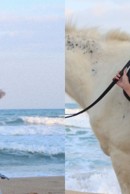 The “cold pretty girl” straddles a horse with her hot body on the beach, and the jeans under her “proud twin peaks” are lost!